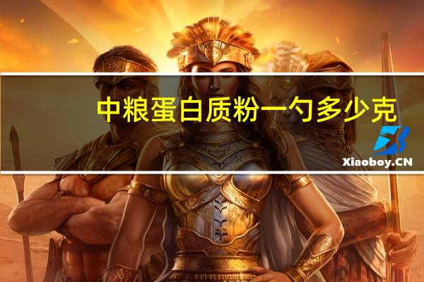 中粮蛋白质粉一勺多少克