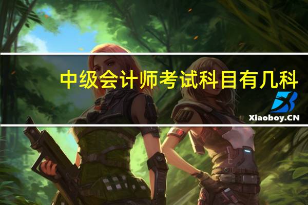 中级会计师考试科目有几科
