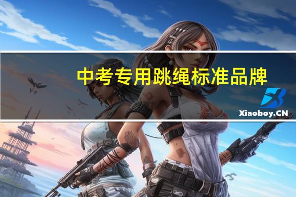 中考专用跳绳标准品牌