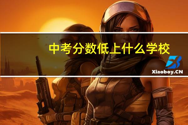 中考分数低上什么学校