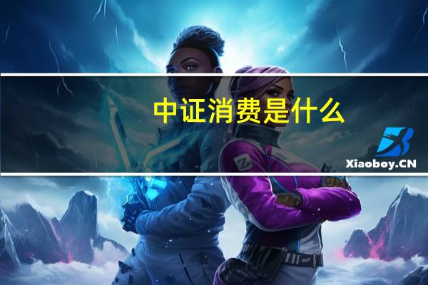 中证消费是什么
