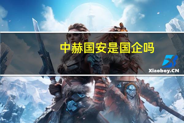 中赫国安是国企吗