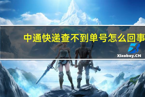 中通快递查不到单号怎么回事
