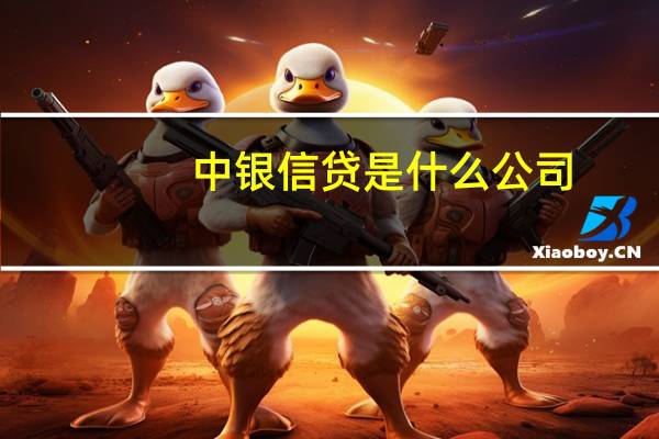 中银信贷是什么公司