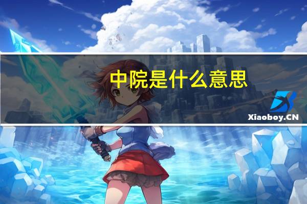 中院是什么意思