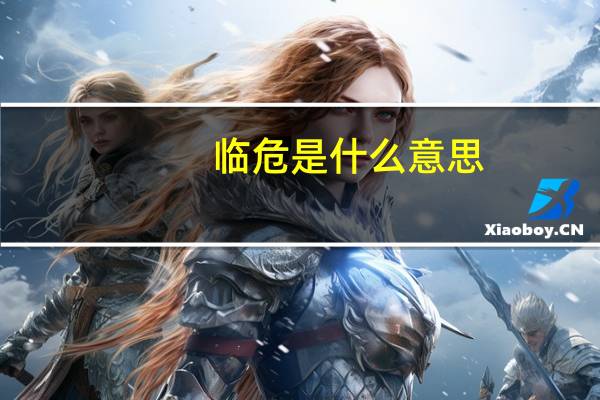 临危是什么意思