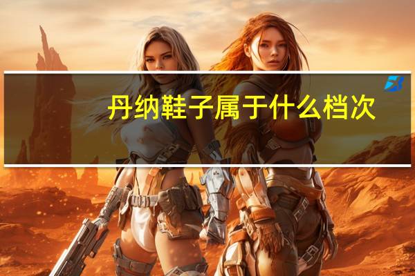 丹纳鞋子属于什么档次