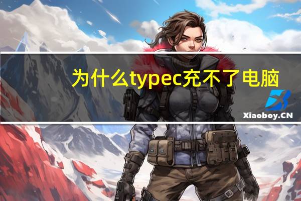 为什么typec充不了电脑