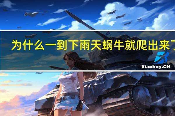 为什么一到下雨天蜗牛就爬出来了呢？