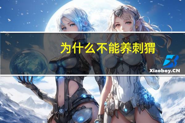 为什么不能养刺猬