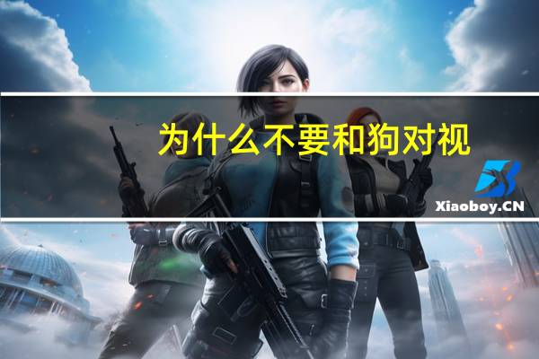 为什么不要和狗对视