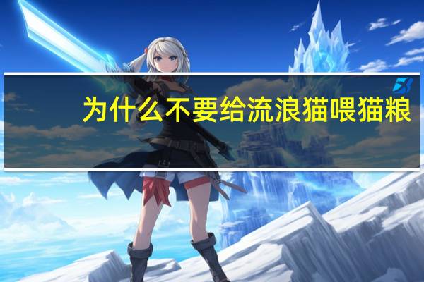 为什么不要给流浪猫喂猫粮