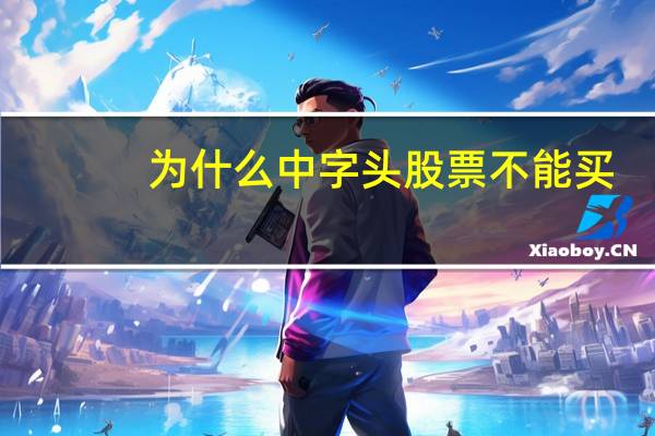 为什么中字头股票不能买