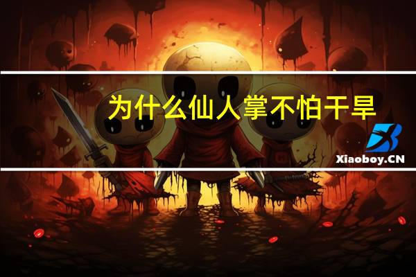 为什么仙人掌不怕干旱