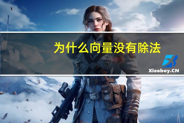 为什么向量没有除法