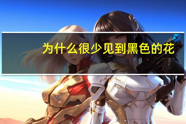 为什么很少见到黑色的花