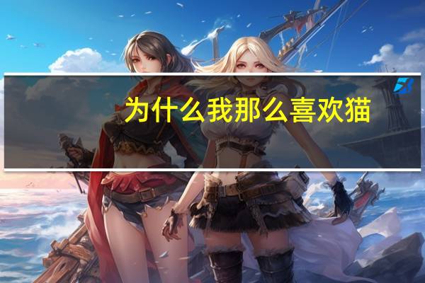 为什么我那么喜欢猫