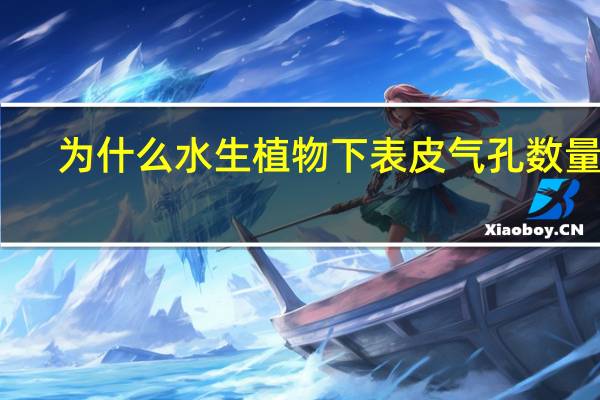 为什么水生植物下表皮气孔数量少