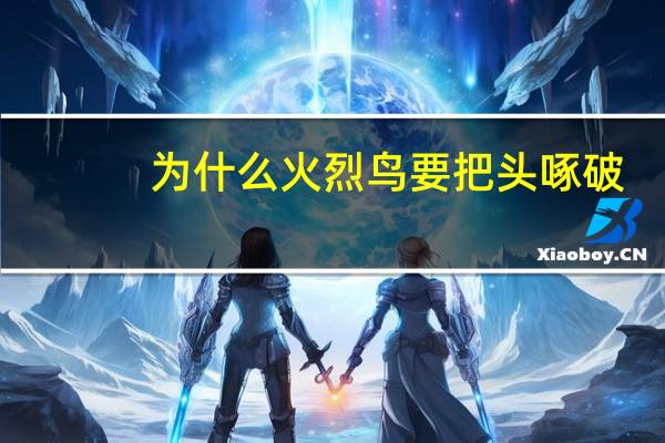 为什么火烈鸟要把头啄破