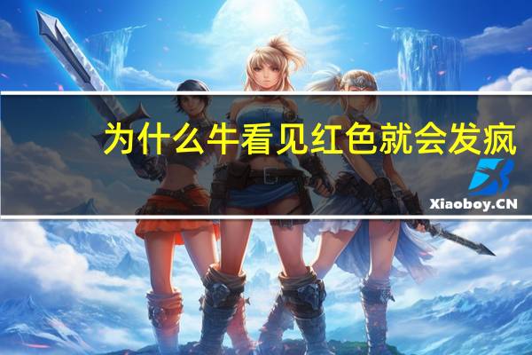 为什么牛看见红色就会发疯