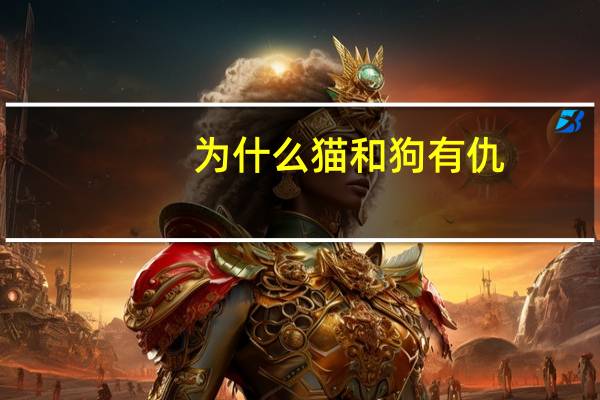 为什么猫和狗有仇