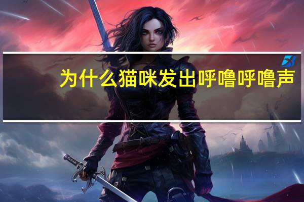 为什么猫咪发出呼噜呼噜声