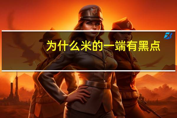 为什么米的一端有黑点