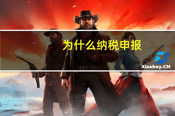 为什么 纳税申报