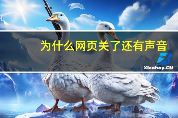 为什么网页关了还有声音