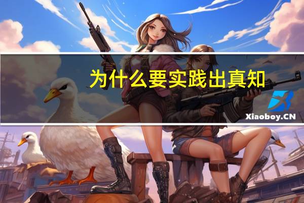 为什么要实践出真知