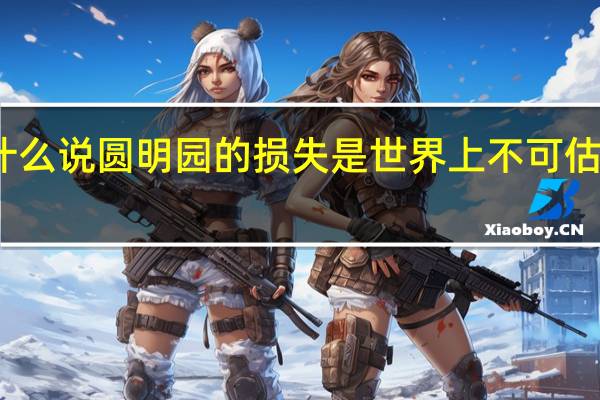 为什么说圆明园的损失是世界上不可估量的损失