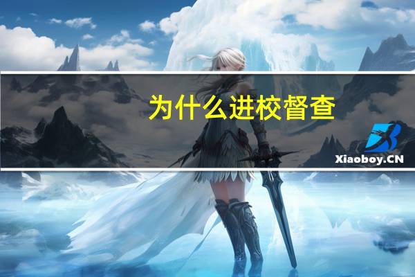为什么进校督查