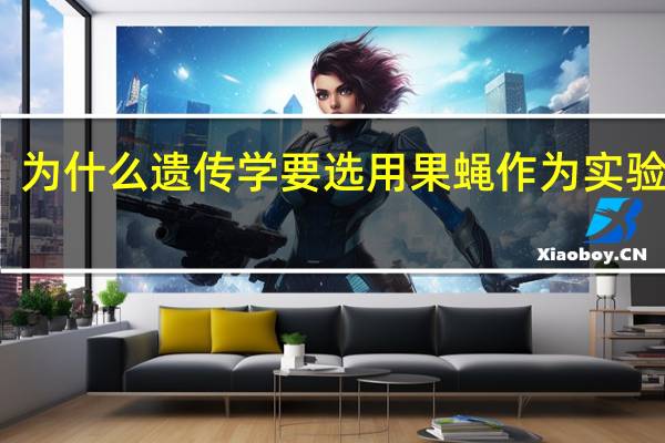 为什么遗传学要选用果蝇作为实验材料