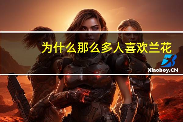 为什么那么多人喜欢兰花