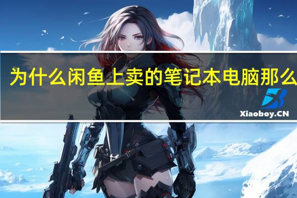 为什么闲鱼上卖的笔记本电脑那么便宜