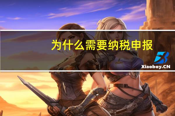 为什么需要纳税申报