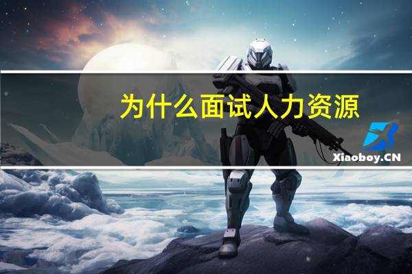 为什么面试人力资源