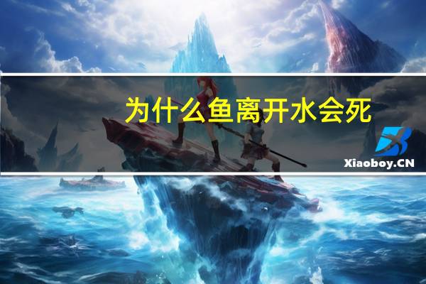 为什么鱼离开水会死