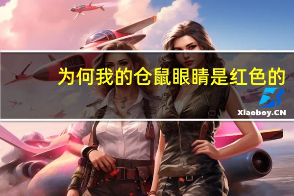为何我的仓鼠眼睛是红色的