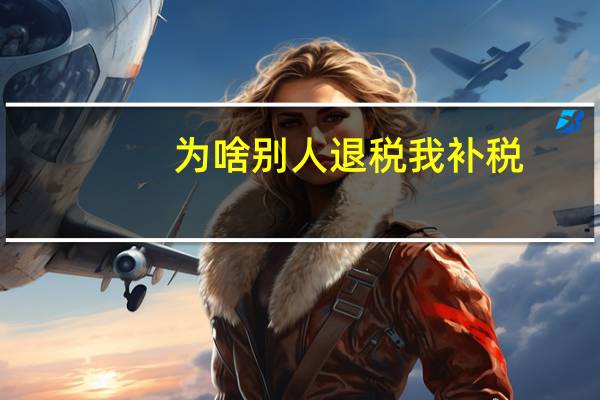 为啥别人退税我补税