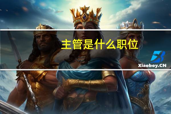 主管是什么职位
