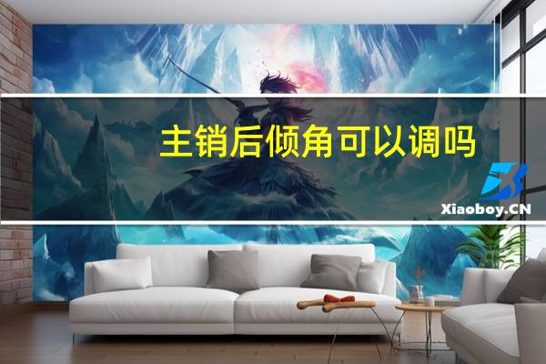 主销后倾角可以调吗