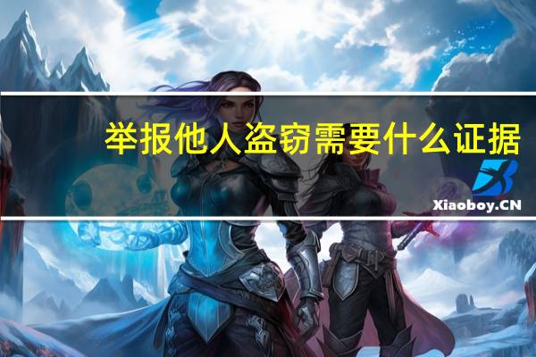 举报他人盗窃需要什么证据