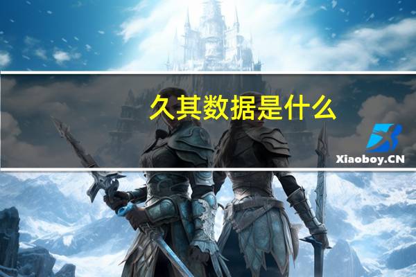 久其数据是什么