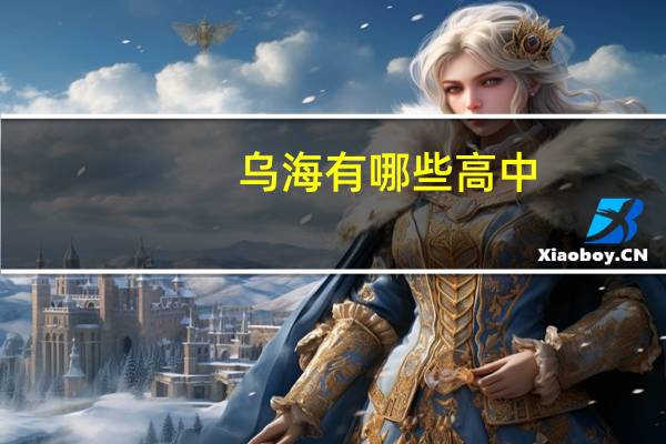 乌海有哪些高中