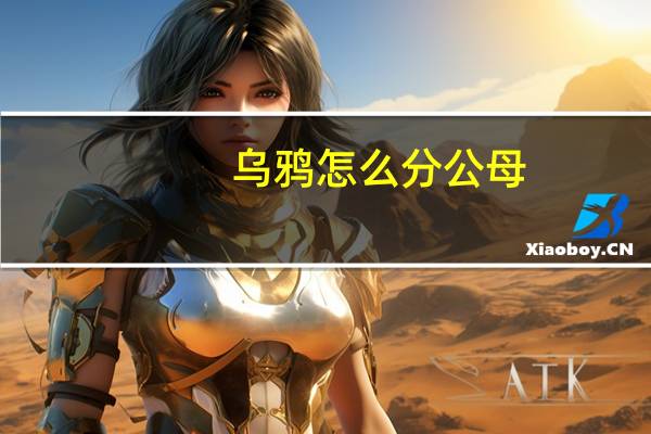 乌鸦怎么分公母