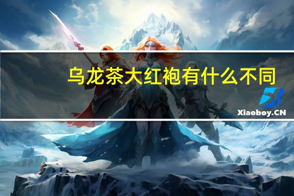 乌龙茶大红袍有什么不同