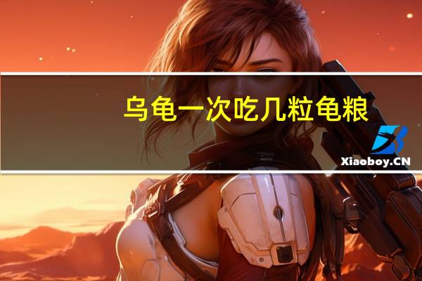 乌龟一次吃几粒龟粮