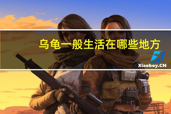 乌龟一般生活在哪些地方?