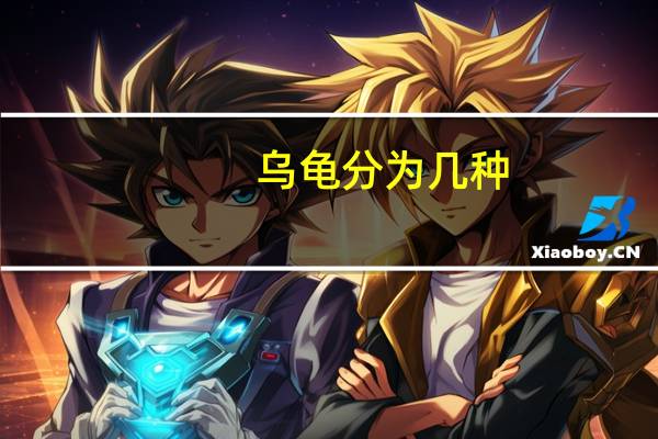 乌龟分为几种